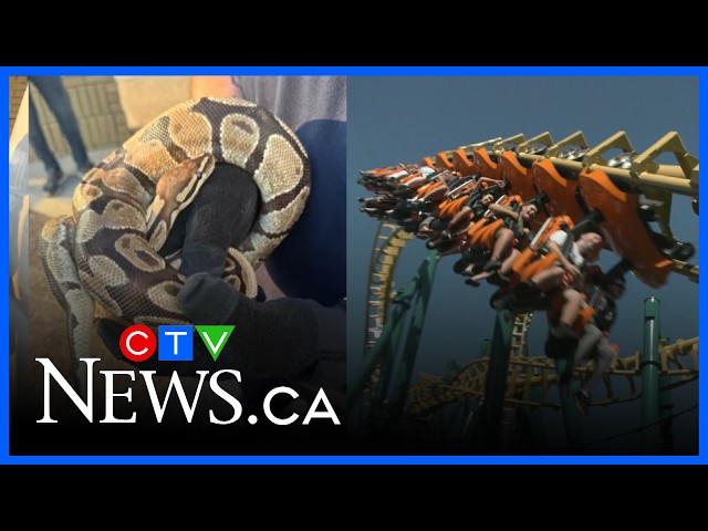 Final Five: Python pulled from vehicle and Canada’s Wonderland debuts new version of coaster