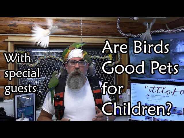 Do Birds Make Good Pets For Children? What Every Parent Should Consider.