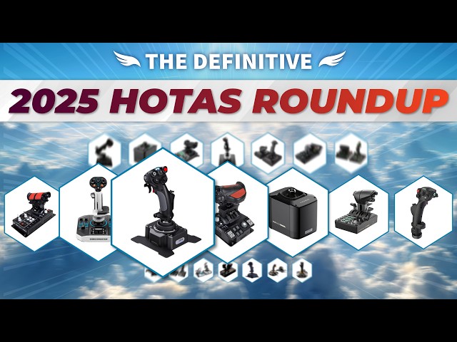 The Definitive 2025 HOTAS Buyer's Guide!