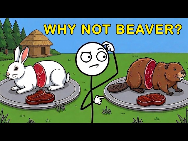 Why Don't We Eat Beaver Meat?