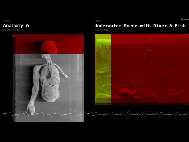 Voyager Golden Record Audio Images Decoded (Real Time using raylib in C)