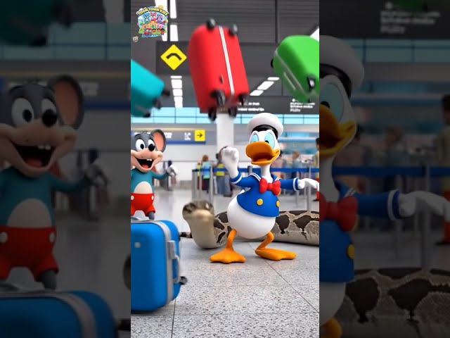 Airport FAIL! ✈️ Our Luggage Belt is a GIANT PYTHON! #shorts #usashorts