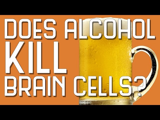 Does Alcohol Kill Brain Cells?