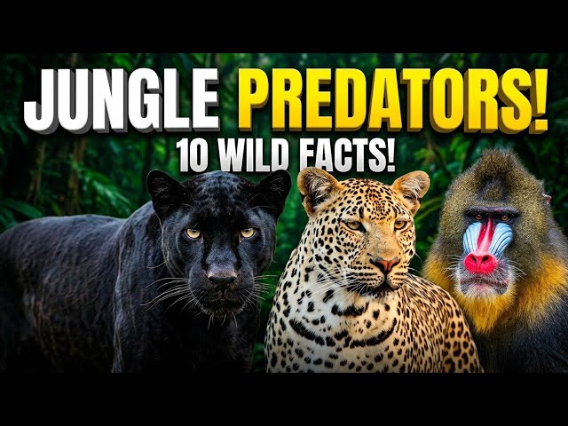 10 Wild Jungle Animals You Didn’t Know Had Superpowers! 🐆🤯