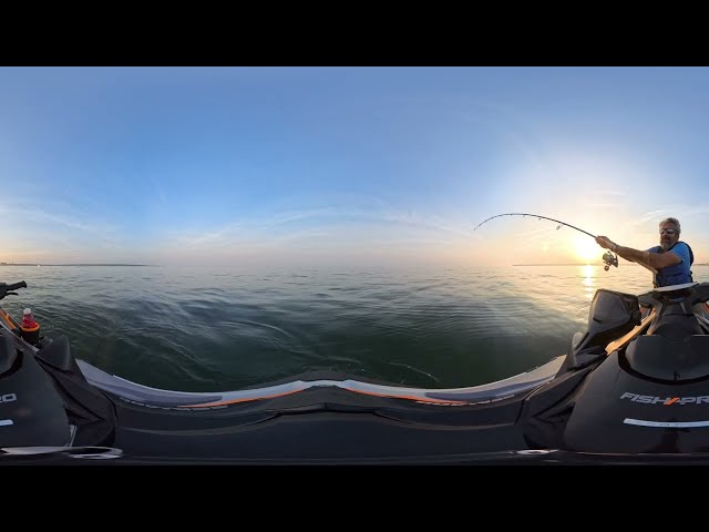 Seadoo Fish Pro Trophy | Shark!
