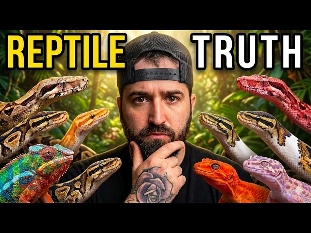BEFORE Getting a Reptile WATCH This! | This Channel WILL Make you a BETTER Keeper!