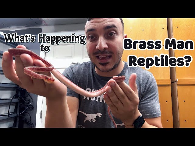 What's Happening to BMR?  Exciting Updates!