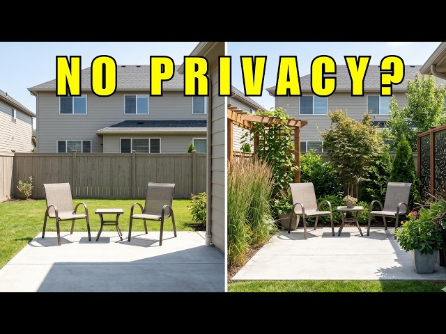 Backyard Privacy Fixed at Every Budget