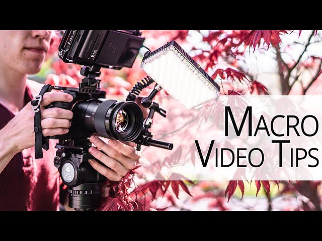 Tips on Macro Video - Gear, Settings and Techniques Tutorial