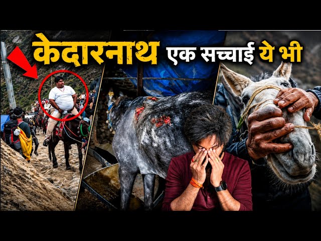 Dark Side of Kedarnath | Cruelty on Animals 🫏🙏 | Technical Dost