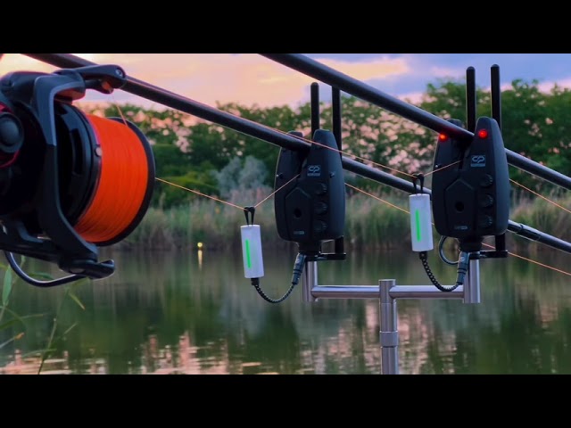 🎣 Incredible Carp Bite! 🔥🐟