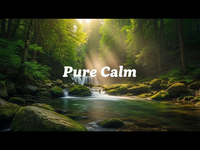 Top Meditation Expert Reveals Secret to Inner Balance