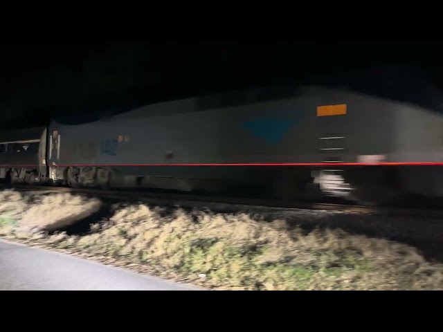 AMTK 366 & AMTK 142 Leads Amtrak P098-16 Sliver Meteor ☄️ NB Java SC At Poor From Road Crossing