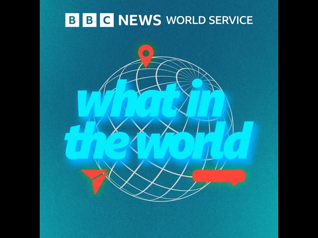 Has Ghana's ‘Year of Return’ been a success? - BBC World Service
