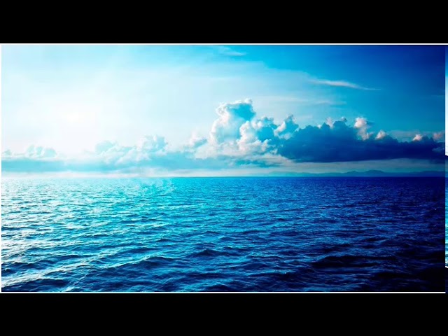 SAVE THE SEA  ·  Frigyes Hidas