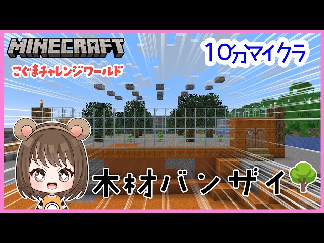 I Built a Tree Farm! Wood for Days 🙌【Minecraft】【Female Gameplay】