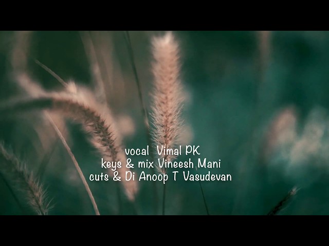 Vellinila thullikalo cover by VIMAL P K