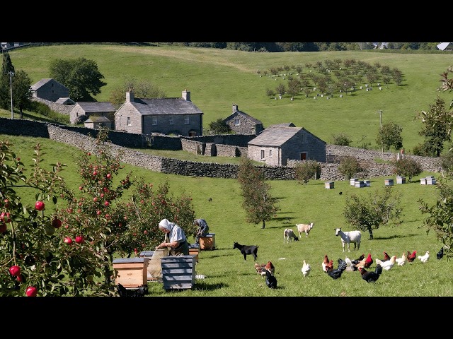 Peaceful Country Life in England – Harvesting, Livestock Farming, and Simple Farm Life