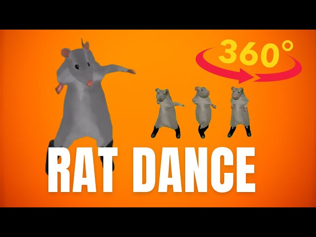 Rat dance meme! 360º VR Video