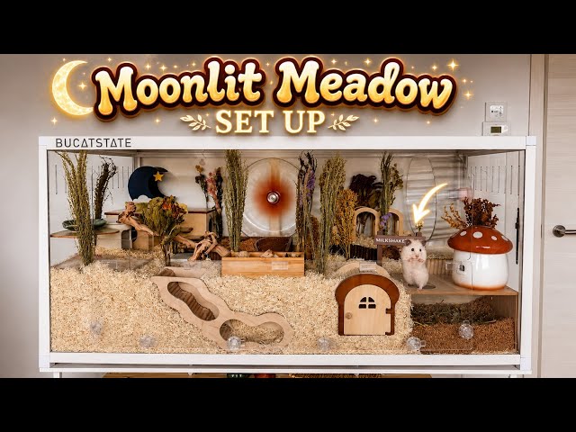 Setting Up a MOONLIT MEADOW Mansion for My Syrian Hamster! *CUTE REACTION*