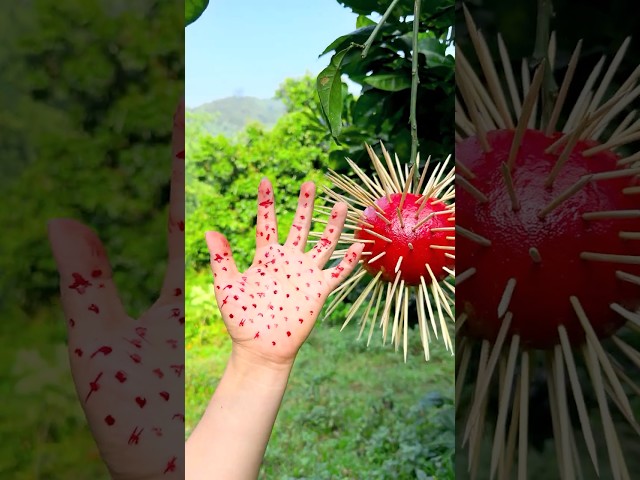 The Easiest Way to Make Fruit Ornaments 🎄 #tutorial #diy