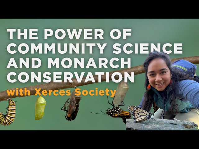 The Power of Community Science and Monarch Conservation