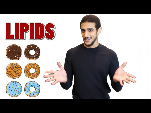 Lipids شرح بالعربي