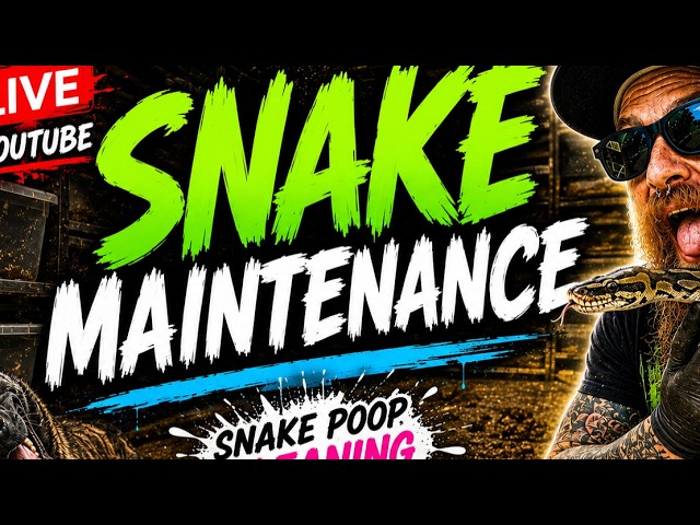 Snake maintenance