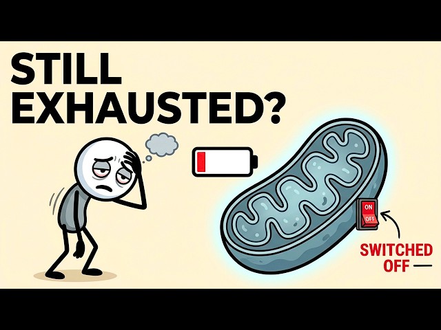 Your Body Isn't Broken. It's In Lockdown. (The Mitochondria Truth Nobody Tells You)