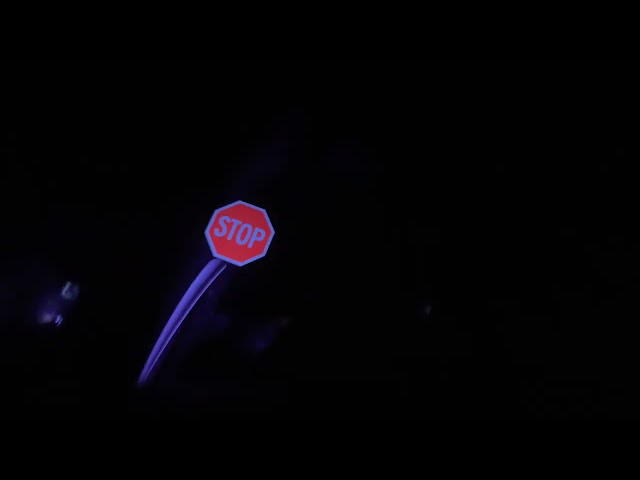 Rock n roller coaster pov 2022 with strobing lights