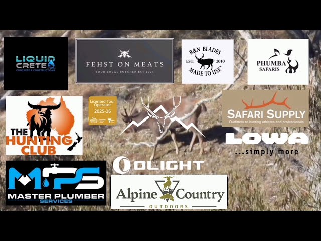 Bag miss, bang miss ! Why ? Hunting Sambar deer// backpack hunting // Victorian High Country // stag