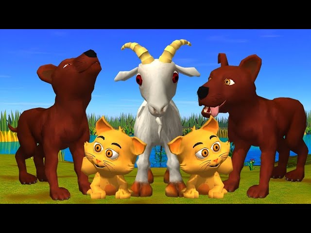 El Pollito pío 3d | el Toro y el Tractor de la Granja | The Chick and the tractor of The farm P- 19