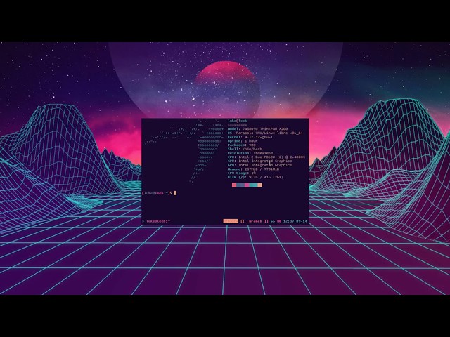 Easy Screencasting and Webcamming with ffmpeg in Linux