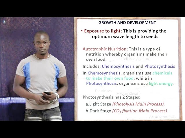Part 1; Growth and Development Revision