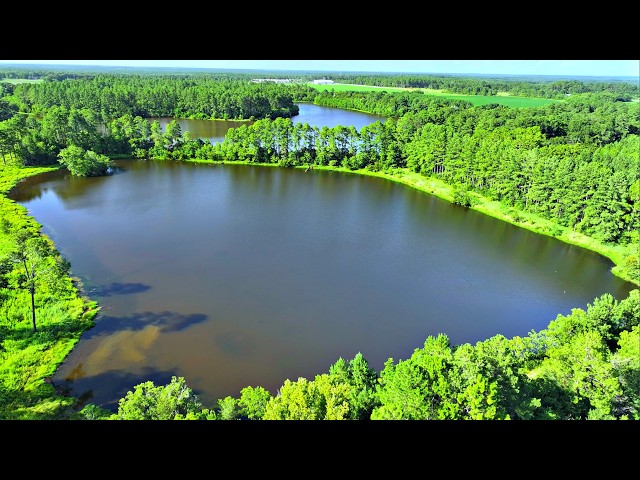 Restoring a 50 Year Old Abandoned Pond! (Next Big Project)
