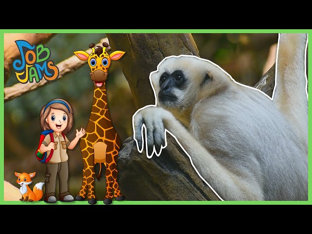 Kids Learn About Zookeepers and Taking Care of Animals | Job Jams | Tigers, Monkeys, Bunnies