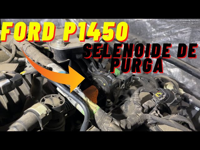 Ford Code P1450 - Cannot Purge Tank Vacuum - F150, Focus, Explorer - Purge Valve D