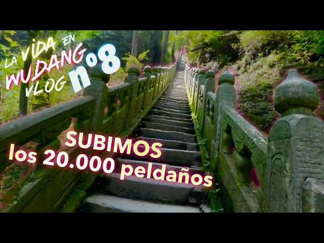 MONTE WUDANG en China | Recorremos TODO EL CAMINO antiguo hasta la cima! / La vida en Wudang 8