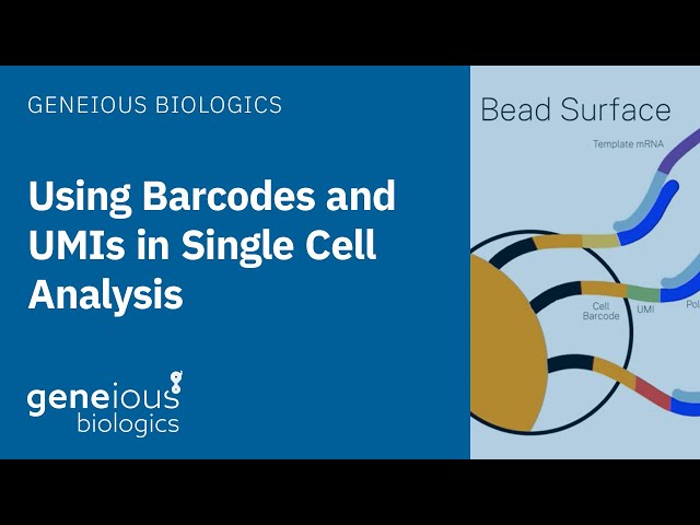 Geneious Biologics: Understanding Barcodes and UMIs