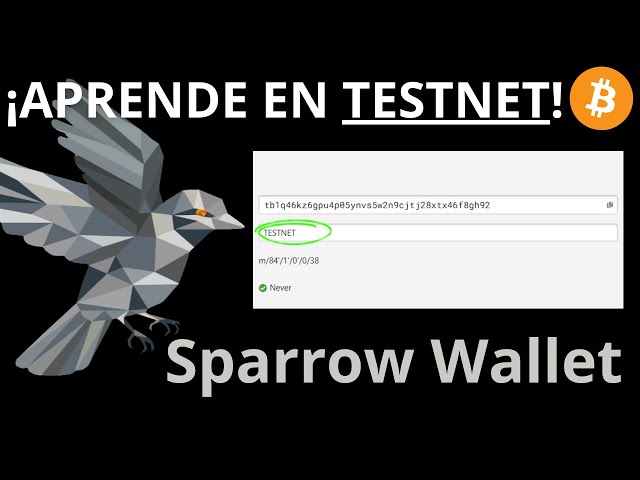 Sparrow Wallet en TESTNET | ¡Aprende sin Riesgo y Domina Bitcoin!