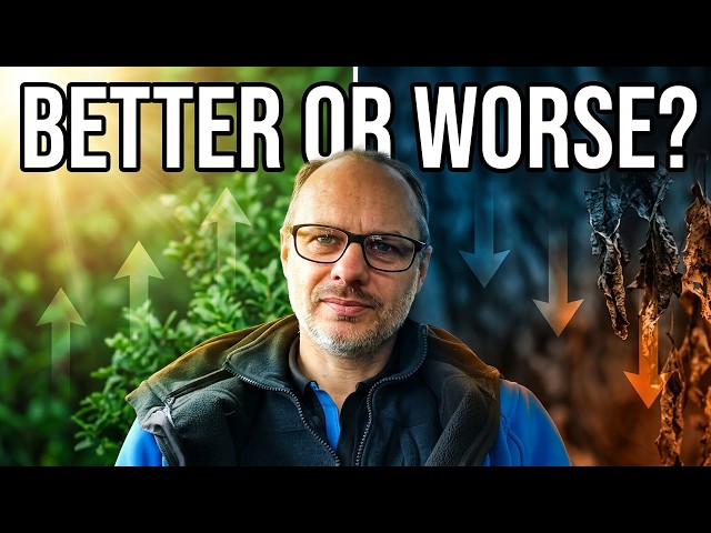 Are You Getting Worse With Every Year? The Continuous Cycle of Personal Evolution. Watch This!