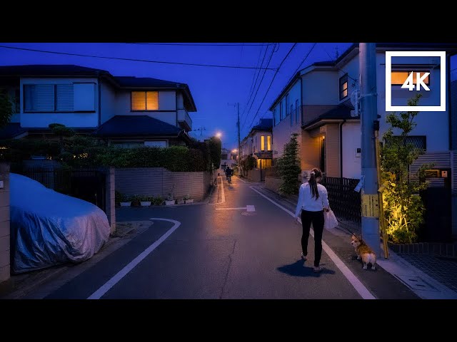Blue Hour Walk in Tokyo | Relaxing Japan Street Atmosphere in 4K HDR
