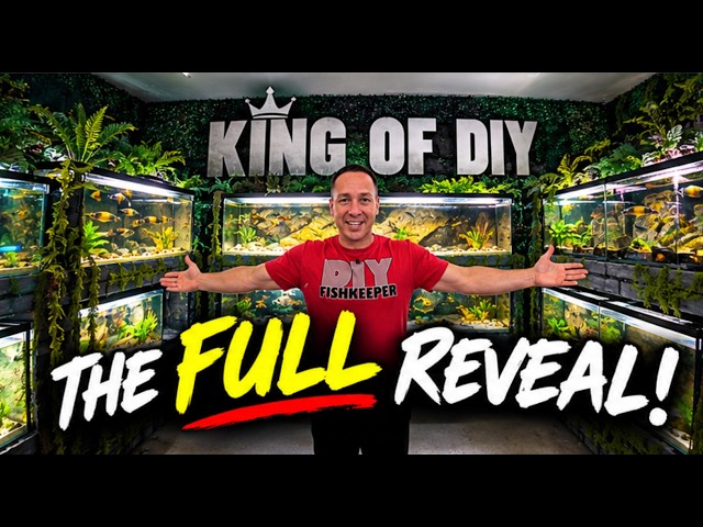 My ENTIRE Fish Room Has Changed… Full Aquarium Tour! The king of DIY FISH TANK BY FISHTANK reveal