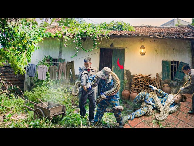 Clean Up Abandoned House: My Partner Was Attacked By A Giant Python!