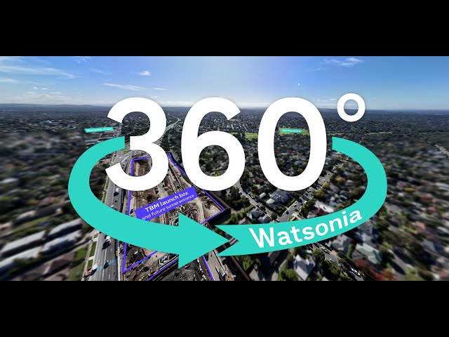 Watsonia works in 360°