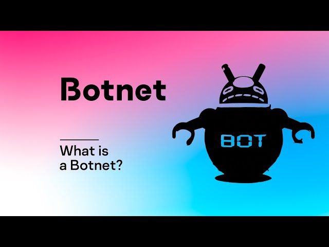 What is a Botnet?