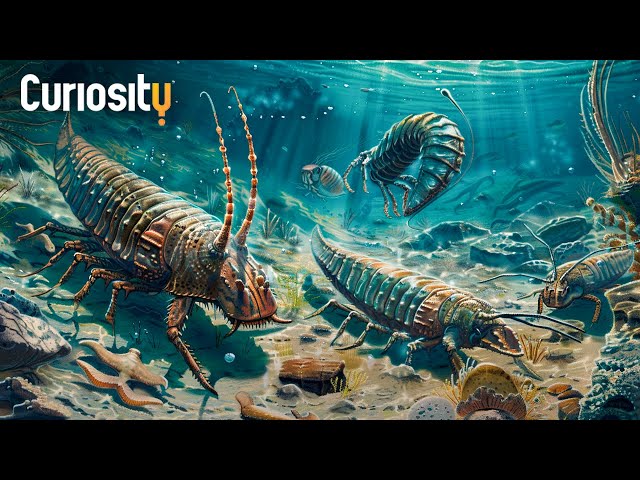 How Did The First Life On Earth Begin? | A Curious World