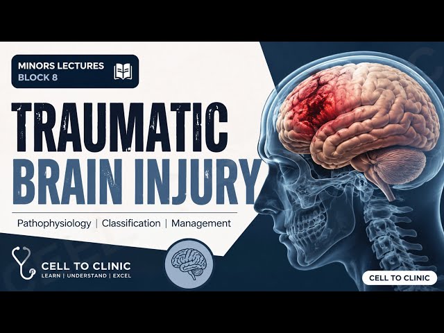 BLOCK 8 MINORS, Traumatology, TBI
