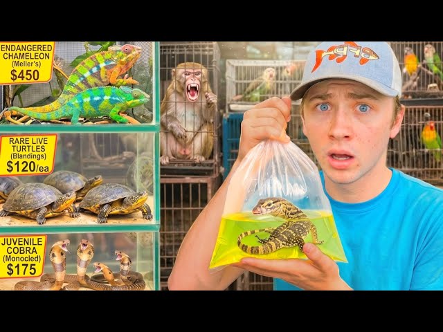 I Saved Animals From a Foreign Food Market!