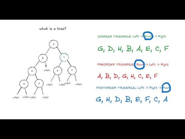 Trees in Data Structures Explained (Inorder, Preorder, Postorder)
